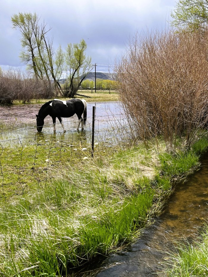 Gunnison, CO: 6 things we Love about this Mountain College Town ...